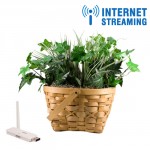 Digital Wireless Plant Hidden Camera with Internet Remote View